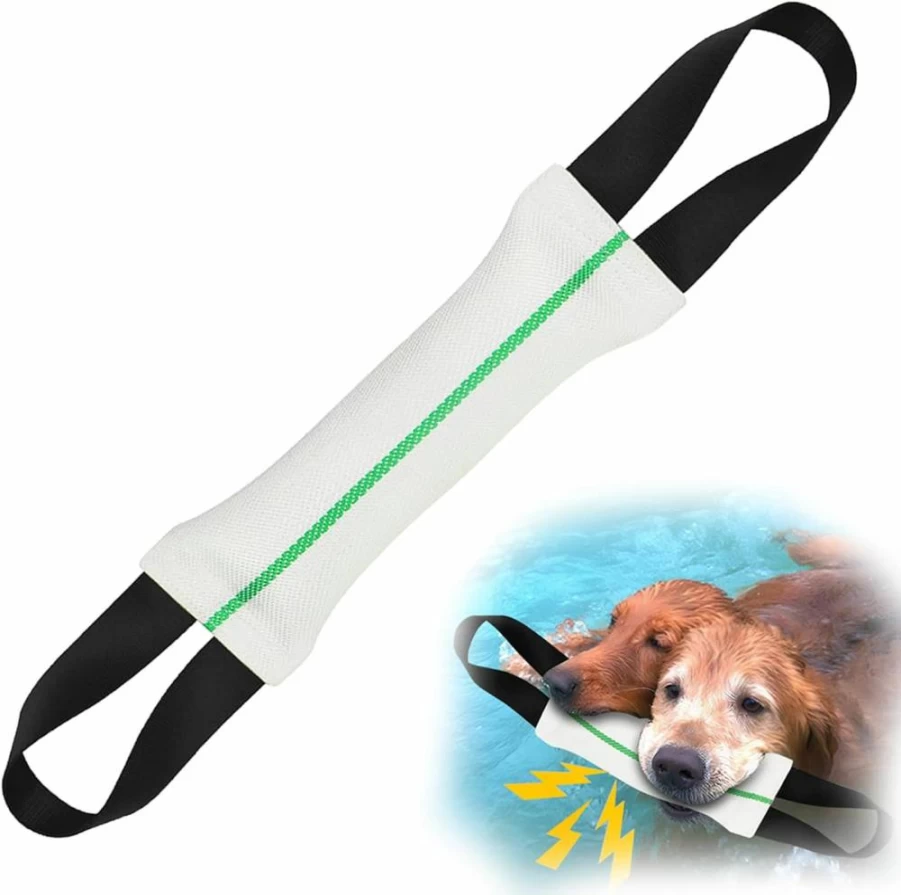 ASOCEA 2-in-1 Dog Pool Toys: Floating, Squeaky, Bite-Resistant Interactive Water Toys for Small to Large Dogs - Perfect for Dock Diving, Fetch, and Training