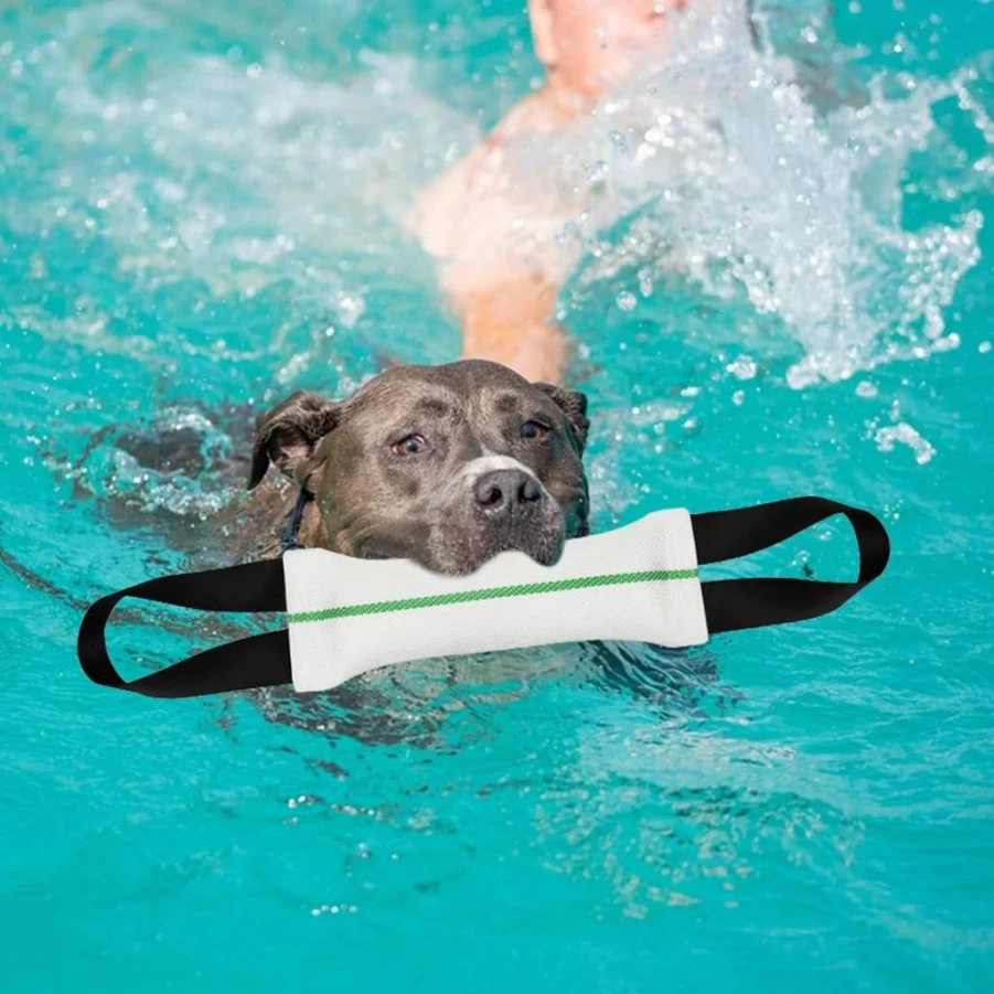 ASOCEA 2-in-1 Dog Pool Toys: Floating, Squeaky, Bite-Resistant Interactive Water Toys for Small to Large Dogs - Perfect for Dock Diving, Fetch, and Training