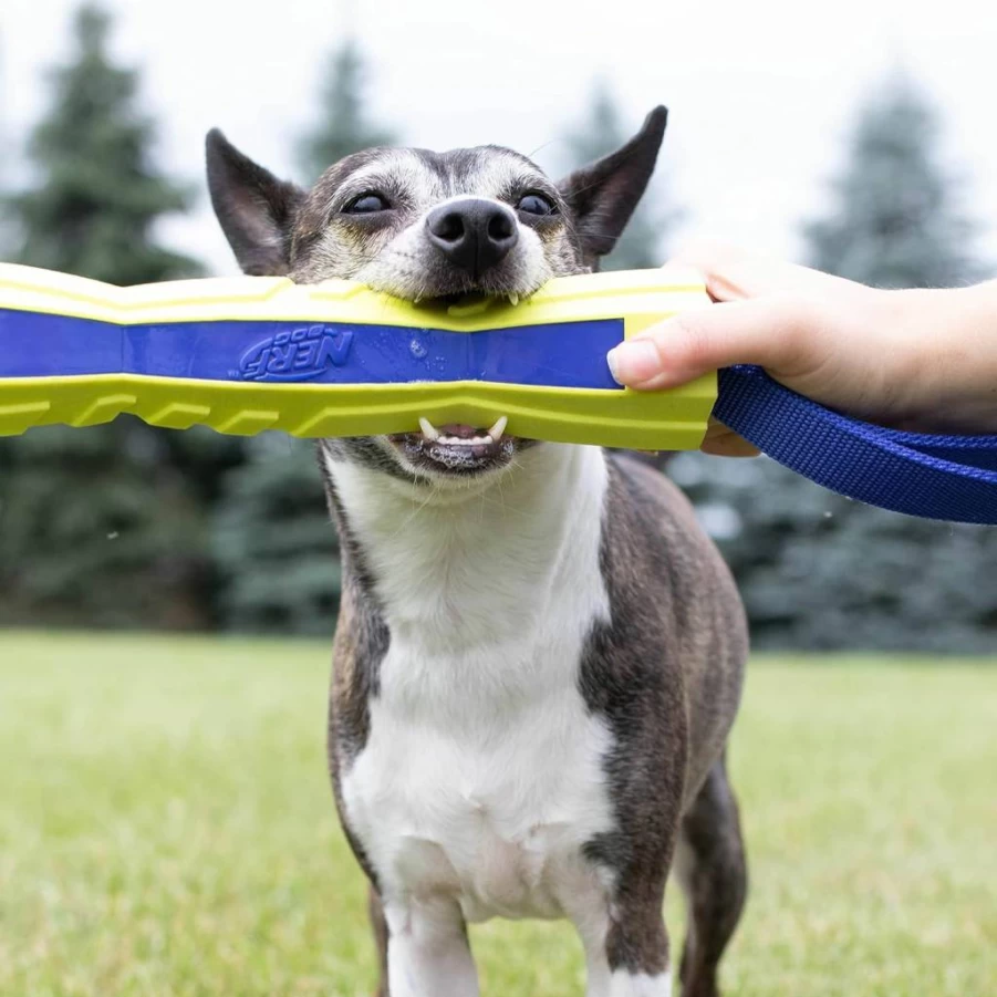 NERF Dog Megaton Competition Chew Toy - Durable TPR & Foam Blue/Green Fetch Stick for Dogs